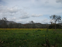 cantara piccole gole30122011 221